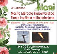 Volan Montecompatri tra i fiori_3a Edizione_Tavola disegno 1.jpg Volan Montecompatri tra i fiori_3a Edizione_Tavola disegno 1.jpg